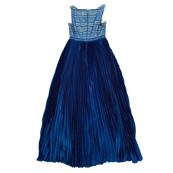 Adrianna Papell Eyelet Lace Pleated High/Low Evening Maxi Floor Length Dress, 6 - Picture 6 of 14